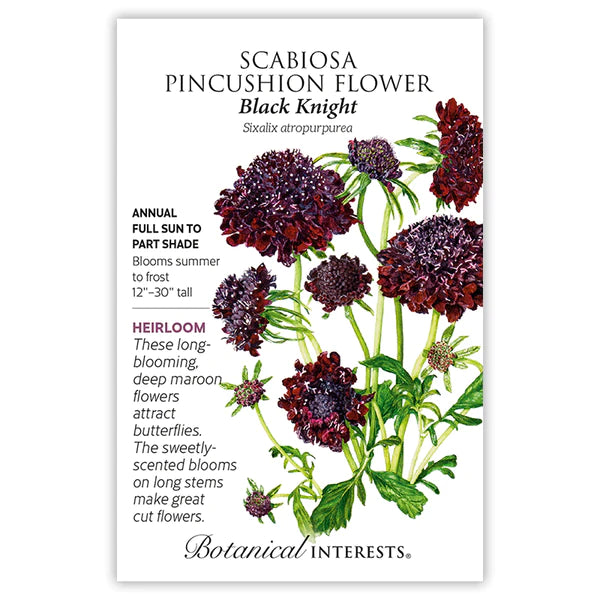 Load image into Gallery viewer, Black Knight Scabiosa Pincushion Flower Seeds
