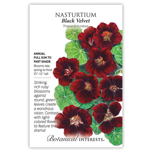 Load image into Gallery viewer, Black Velvet Nasturtium Seeds

