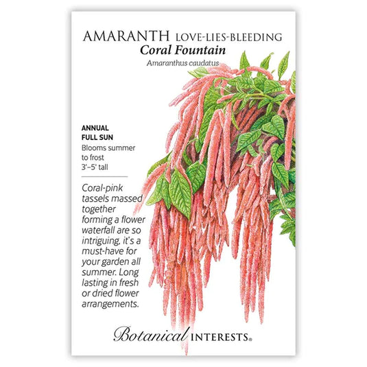 Coral Fountain Love-Lies-Bleeding Amaranth Seeds