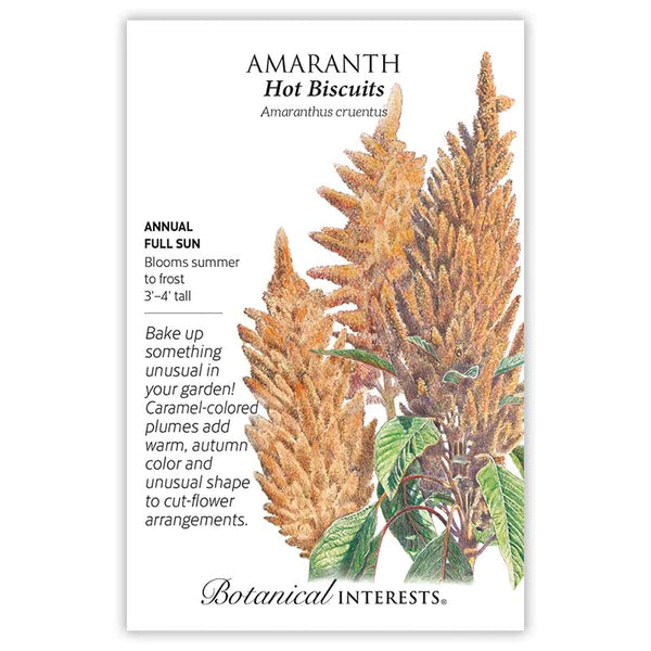 Load image into Gallery viewer, Hot Biscuits Amaranth Seeds
