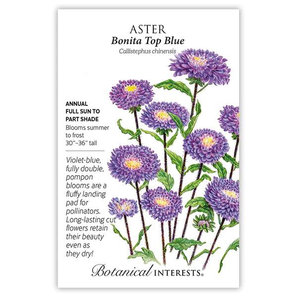 Load image into Gallery viewer, Bonita Top Blue Aster Seeds
