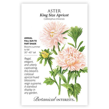 Botanical Interests King Size Apricot Aster Seeds