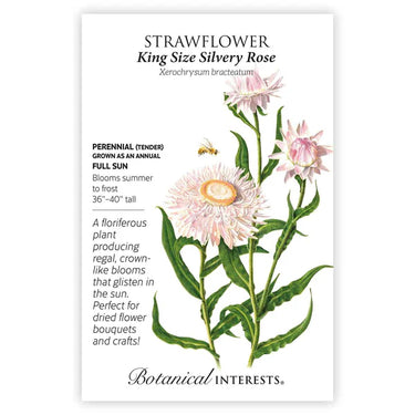 Botanical Interests King Size Silvery Rose Strawflower Seeds