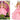 Universal Pictures Wicked Deluxe Glinda Fashion Doll & Accessories with Removable Outfit