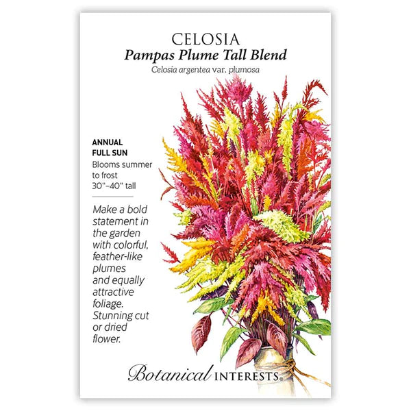 Load image into Gallery viewer, Pampas Plume Tall Blend Celosia Seeds
