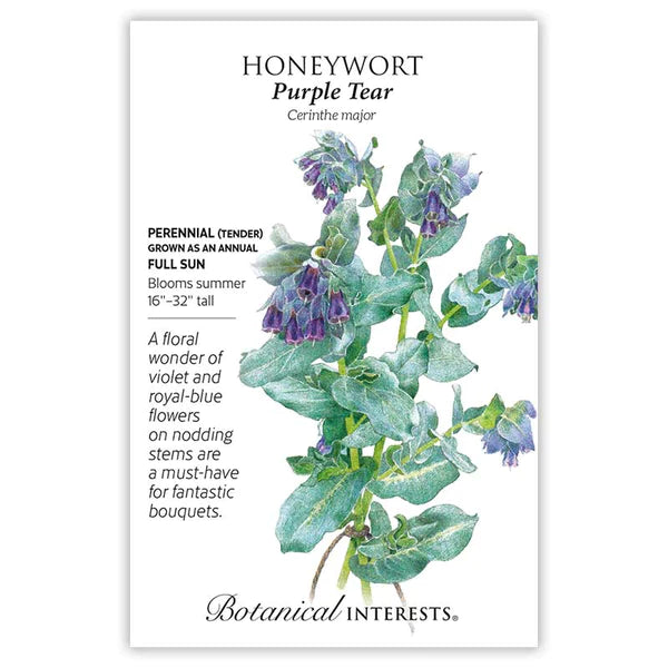 Load image into Gallery viewer, Purple Tear Honeywort Seeds
