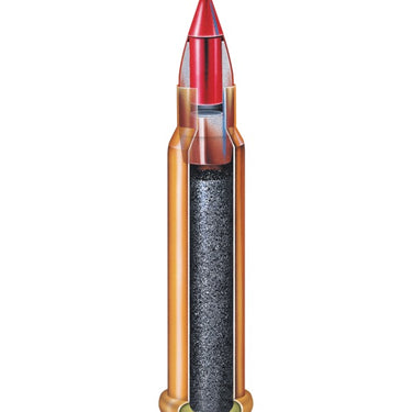 17 HMR® 17 gr V‑MAX® Varmint Express® Rimfire