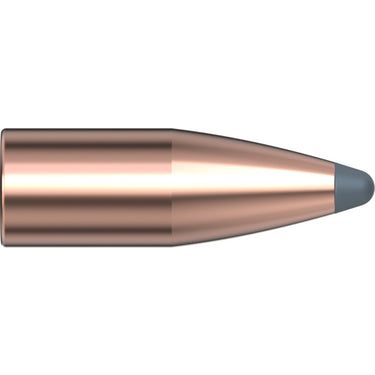 22 Cal .224 55 gr SP