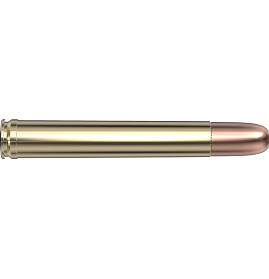 Hornady 458 Lott 500 gr DGS®