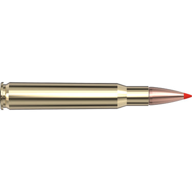 30‑06 Springfield 165 gr SST® Superformance®