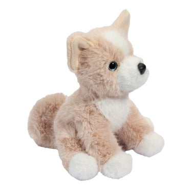 Douglas Pookie Pomsky Mini