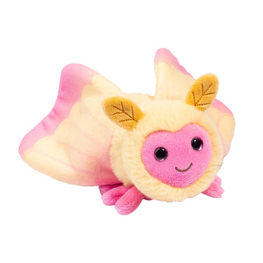 Douglas Rosy Maple Moth