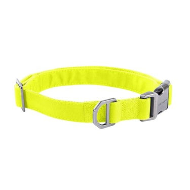 Carhartt Field Dog Collar (Lime) Size M