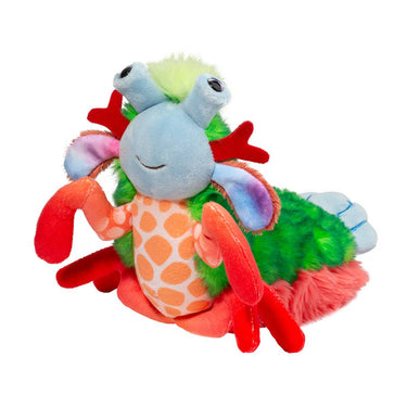 Douglas Punchie Peacock Mantis Shrimp