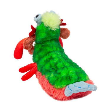 Douglas Punchie Peacock Mantis Shrimp