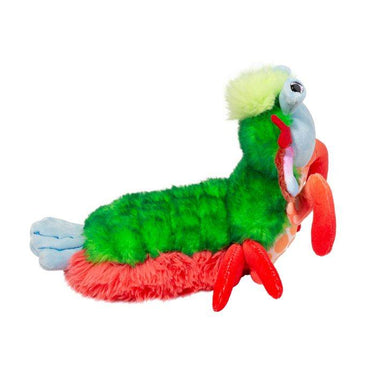Douglas Punchie Peacock Mantis Shrimp