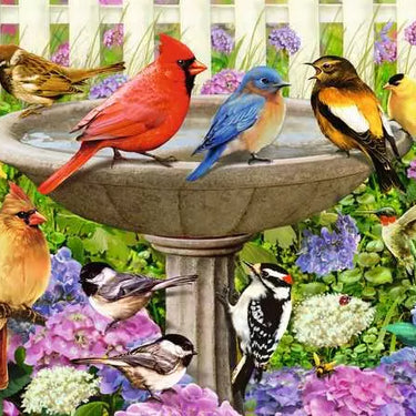 Jigsaw Puzzle At the Birdbath - 500 Pieces