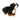 Douglas Stevie Bernese Mountain Dog