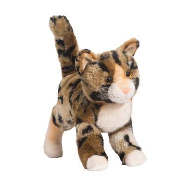 Douglas Tashette Bengal Cat