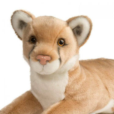 Douglas Kelso Mountain Lion