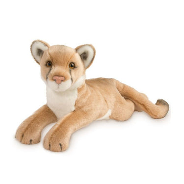 Douglas Kelso Mountain Lion