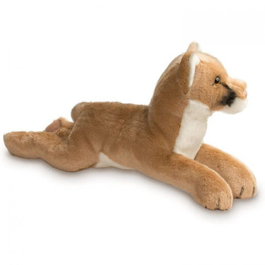 Douglas Kelso Mountain Lion