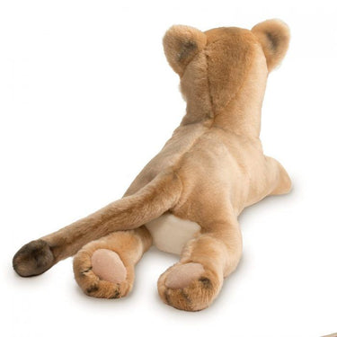 Douglas Kelso Mountain Lion