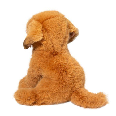 Douglas August Golden Retriever