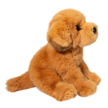 Douglas August Golden Retriever