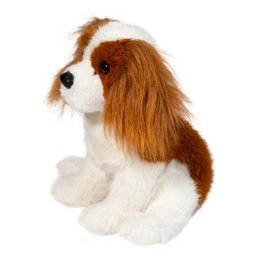 Douglas Kingsley Cavalier King Charles Spaniel