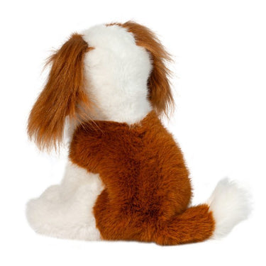 Douglas Kingsley Cavalier King Charles Spaniel