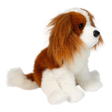 Douglas Kingsley Cavalier King Charles Spaniel