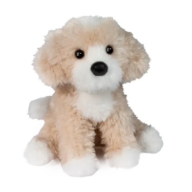 Douglas Darcy Golden Doodle