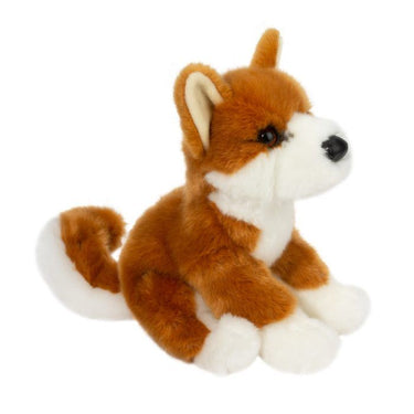 Douglas Aki Shiba Inu