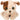 Ty Beanie Babies Houghie the Dog