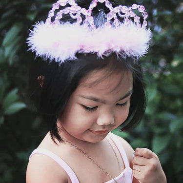 Tiara Princess Pink and Silver