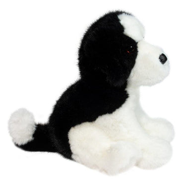 Douglas Teefer Shih Tzu