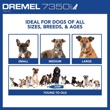 Dremel 4V Cordless Rotary Tool Kit