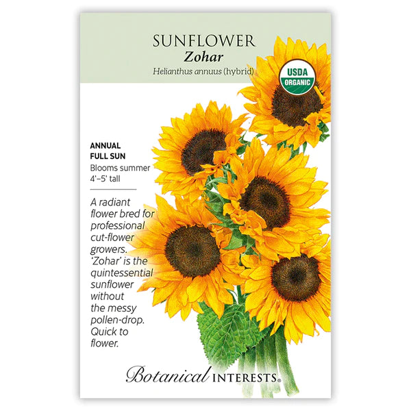 Zohar Sunflower Seeds