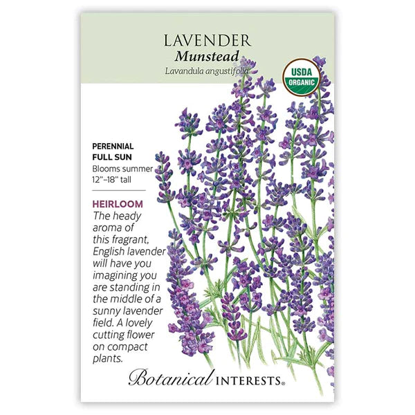 Load image into Gallery viewer, Munstead Lavender Seeds
