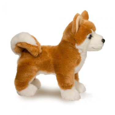 Douglas Dunham Shiba Inu