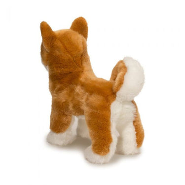 Douglas Dunham Shiba Inu