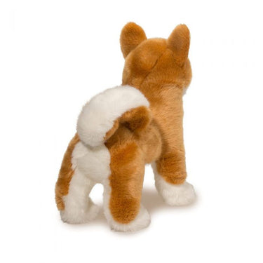 Douglas Dunham Shiba Inu