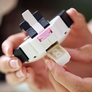 LEGO® Ideas Tuxedo Cat