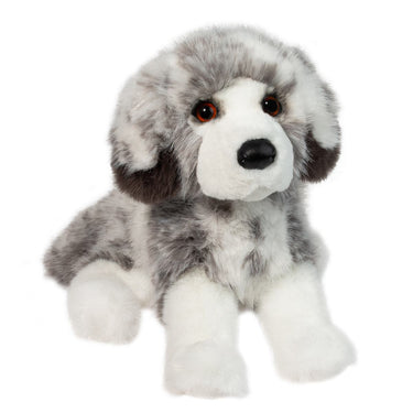 Douglas Skylar Australian Shepherd