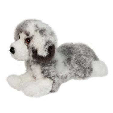 Douglas Skylar Australian Shepherd