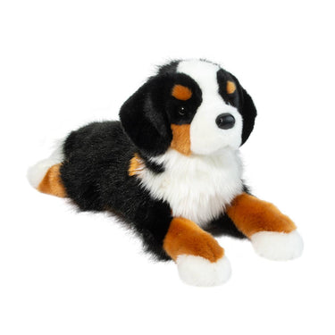Douglas Trooper DLux Bernese Mountain Dog