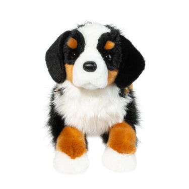 Douglas Trooper DLux Bernese Mountain Dog