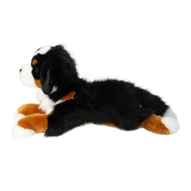 Douglas Trooper DLux Bernese Mountain Dog