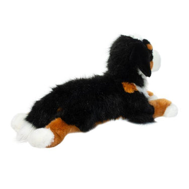 Douglas Trooper DLux Bernese Mountain Dog